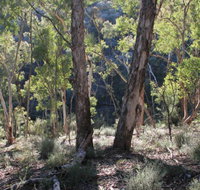 Mount Gray walking track - Accommodation Fremantle