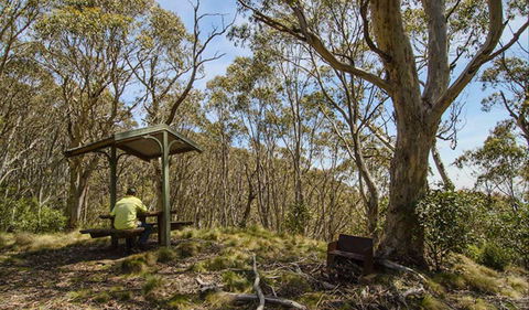 Mount Barrington Picnic Area - Accommodation Fremantle 0
