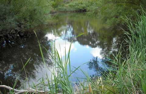 Mullion Range State Conservation Area - Accommodation Fremantle 0
