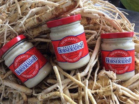 Newman's Horseradish Farm And Rusticana Wines - Accommodation Fremantle 0