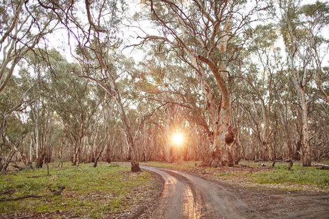 Nyah Vinifera Park - Accommodation Fremantle 1