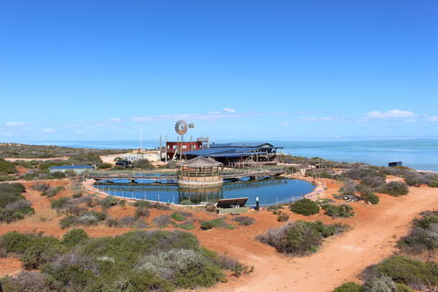 Ocean Park Aquarium - Accommodation Fremantle 1