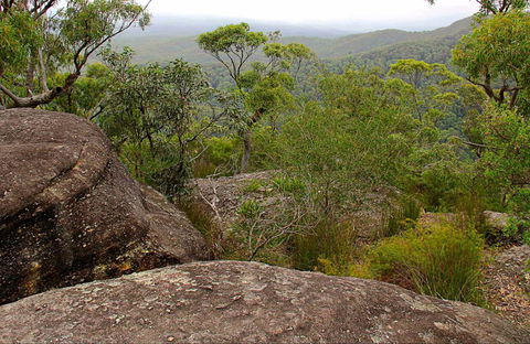 Pigeon House Mountain Didthul Walking Track - Accommodation Fremantle 0