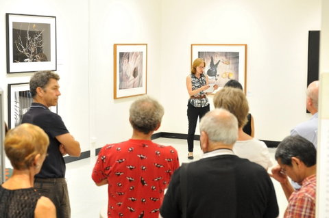 Pine Rivers Art Gallery - Accommodation Fremantle 1