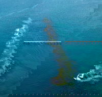 Port Noarlunga Reef Sanctuary Zone - Encounter Marine Park - Accommodation Fremantle