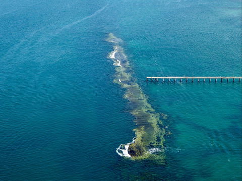 Port Noarlunga Reef Sanctuary Zone - Encounter Marine Park - Accommodation Fremantle 0