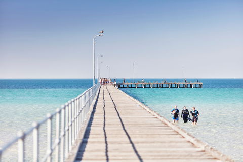 Rye Bay Trial - Accommodation Fremantle 1