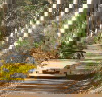 Scotsdale Tourist Drive - Accommodation Fremantle