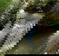 Second Ponds Creek Walk - Accommodation Fremantle