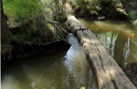 Second Ponds Creek Walk - Accommodation Fremantle 0