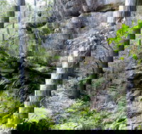 She-Oak Crossing Walk - Accommodation Fremantle