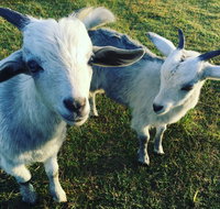 Splitters Farm - Accommodation Fremantle