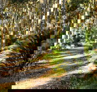 Square Head Track 2 - Accommodation Fremantle