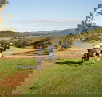 Tamworth and Kootingal Horse Riding Adventures - Accommodation Fremantle