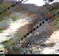 The Falls Water Falls - Accommodation Fremantle
