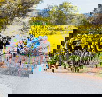 The Heron's Highway - Avon River Cycle Trail - Accommodation Fremantle