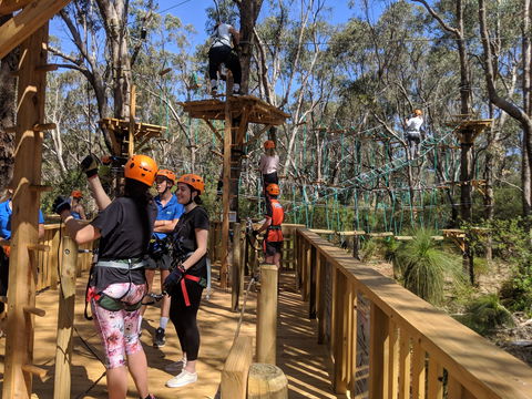Trees Adventure - Yanchep Park - Accommodation Fremantle 0
