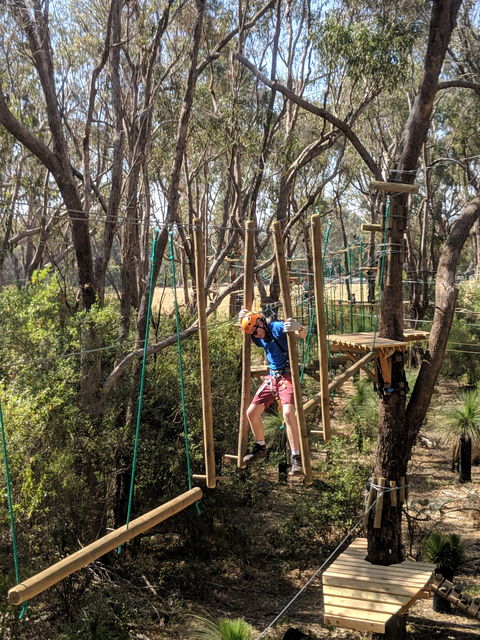 Trees Adventure - Yanchep Park - Accommodation Fremantle 1