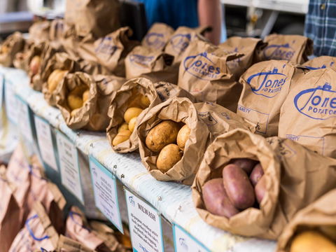 Warragul Farmers Market - Accommodation Fremantle 2
