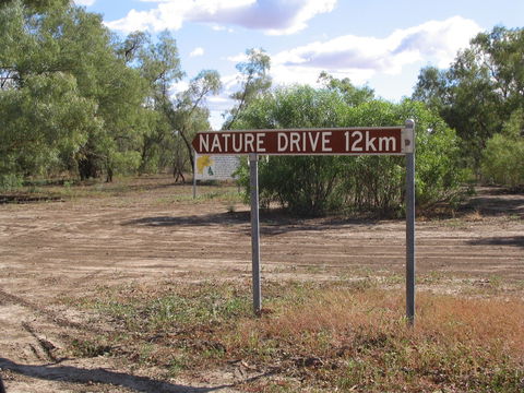 Windorah Nature Drive - Accommodation Fremantle 0