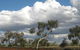 Windorah Nature Drive - thumb 1
