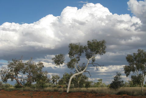 Windorah Nature Drive - Accommodation Fremantle 1