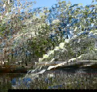 Wongi State Forest - Accommodation Fremantle
