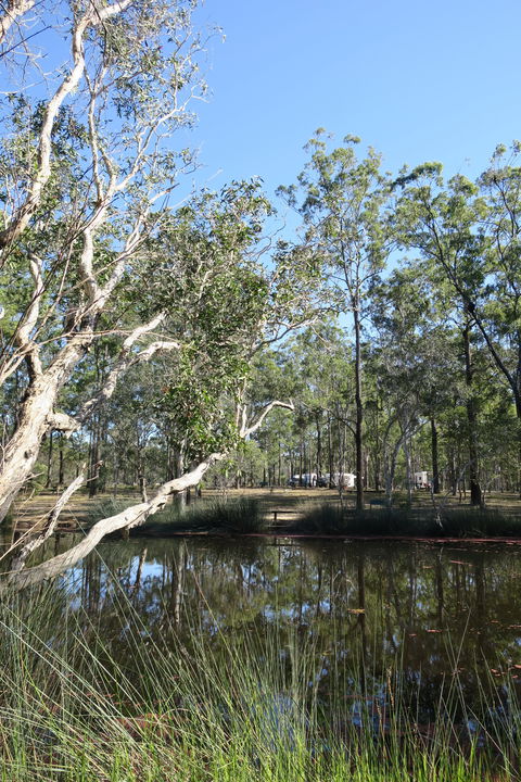 Wongi State Forest - Accommodation Fremantle 0