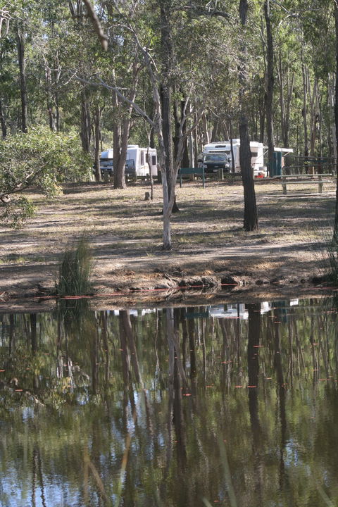 Wongi State Forest - Accommodation Fremantle 1