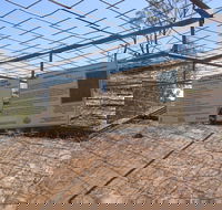 Aboriginal Carvings - Accommodation Fremantle