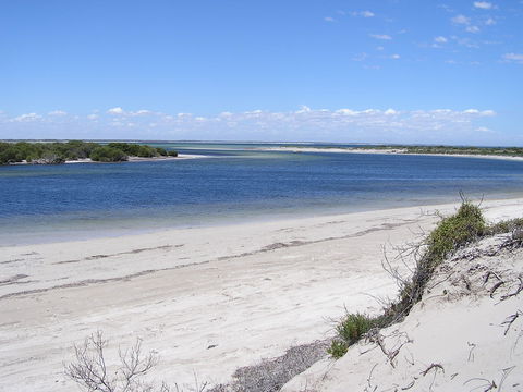 Acraman Creek Conservation Park - Accommodation Fremantle 0
