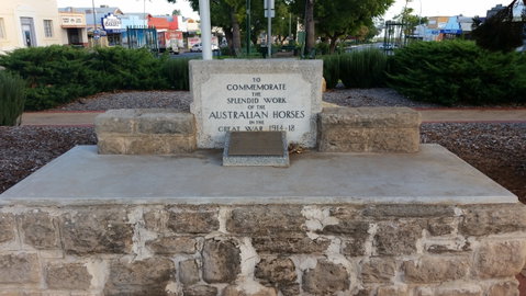 Barmera Horse Trough - Accommodation Fremantle 0