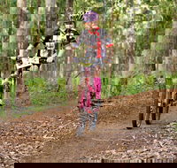 Bom Bom State Forest Mountain Bike Trails - Accommodation Fremantle