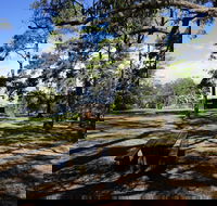 Bowen Mountain Park - Accommodation Fremantle