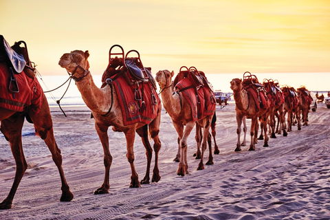 Broome And The Kimberley Coast - Accommodation Fremantle 0