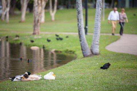 Centenary Lakes Park - Accommodation Fremantle 2