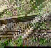 Daisy Hill Koala Centre - Accommodation Fremantle