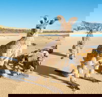 Diamond Head Beach - Accommodation Fremantle