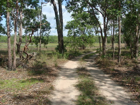 Djukbinj National Park - Accommodation Fremantle 0