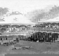 Don Dorrigo and Guy Fawkes Historical Society Museum - Accommodation Fremantle