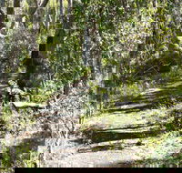 Euglah Rock Walking Track - Accommodation Fremantle