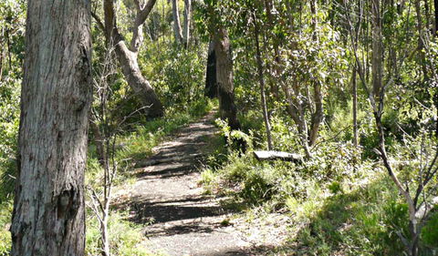 Euglah Rock Walking Track - Accommodation Fremantle 0