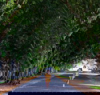 Fig Tree Avenue - Accommodation Fremantle