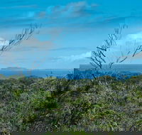 Forest Walking Track Crowdy Bay National Park - Accommodation Fremantle