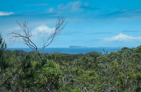Forest Walking Track, Crowdy Bay National Park - Accommodation Fremantle 0