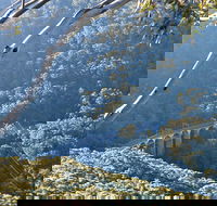 Forest Walk to Sublime Point Track - Accommodation Fremantle