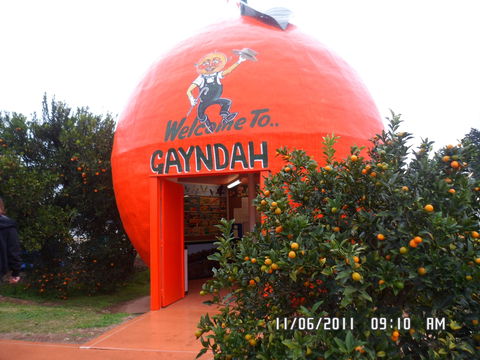 Gayndah's Big Orange - Accommodation Fremantle 2