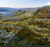Gold Coast Hinterland Great Walk - Accommodation Fremantle