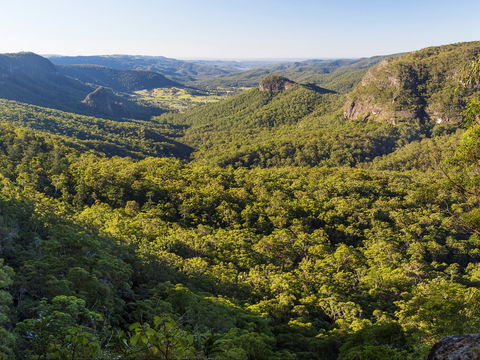 Gold Coast Hinterland Great Walk - Accommodation Fremantle 0