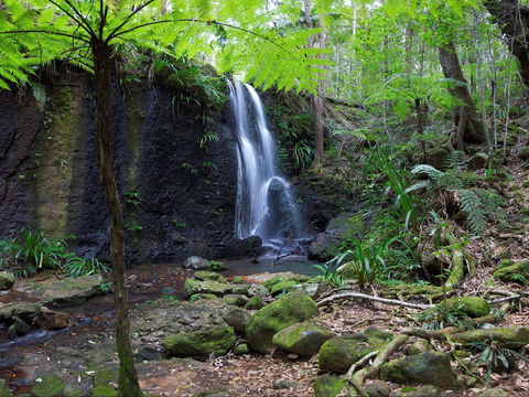 Gold Coast Hinterland Great Walk - Accommodation Fremantle 1